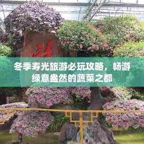 冬季寿光旅游必玩攻略,畅游绿意盎然的蔬菜之都