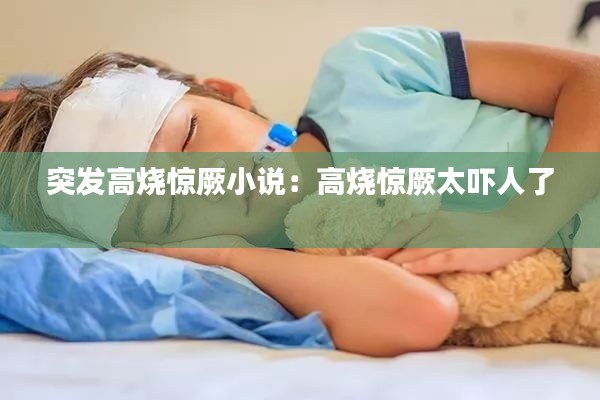 突发高烧惊厥小说:高烧惊厥太吓人了