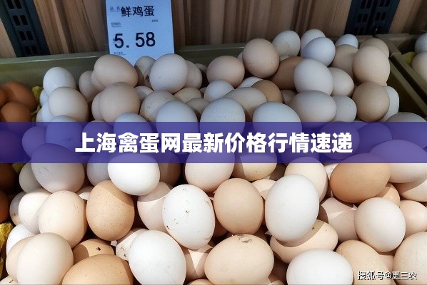 上海禽蛋网最新价格行情速递