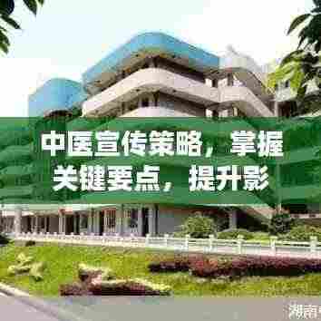 中医宣传策略，掌握关键要点，提升影响力与吸引力！