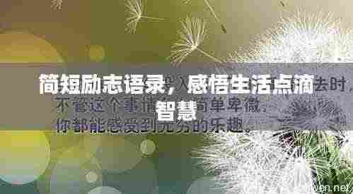 简短励志语录,感悟生活点滴智慧