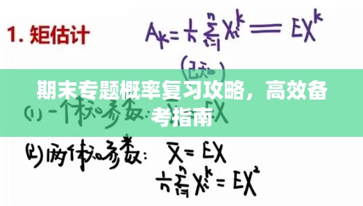期末专题概率复习攻略,高效备考指南