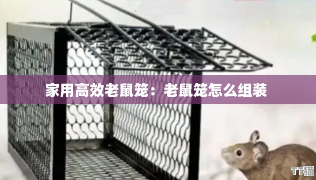 家用高效老鼠笼:老鼠笼怎么组装