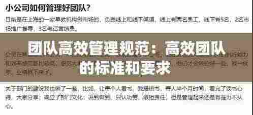 团队高效管理规范：高效团队的标准和要求 