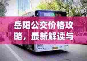 岳阳公交价格攻略,最新解读与优惠信息一网打尽