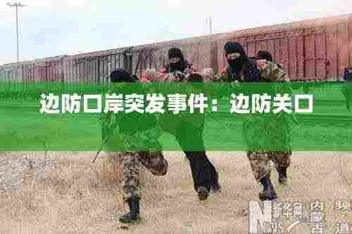 边防口岸突发事件：边防关口 