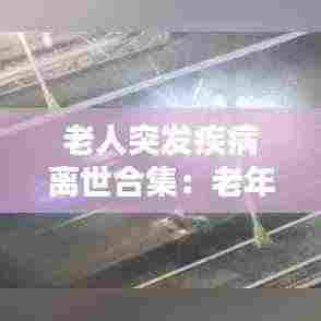 老人突发疾病离世合集:老年人突发疾病死亡