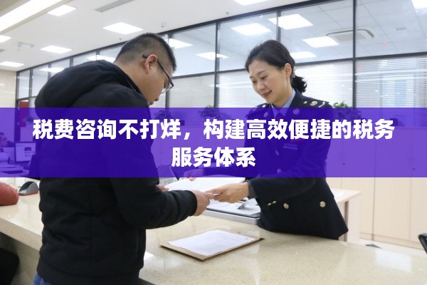 税费咨询不打烊,构建高效便捷的税务服务体系