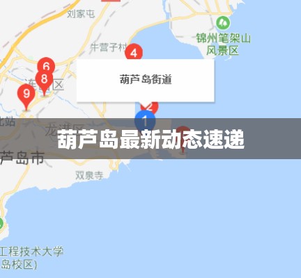 葫芦岛最新动态速递