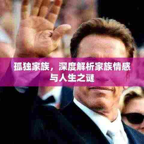 孤独家族,深度解析家族情感与人生之谜