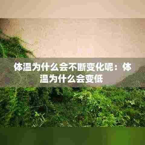 体温为什么会不断变化呢:体温为什么会变低