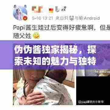 伪伪酱独家揭秘,探索未知的魅力与独特之处