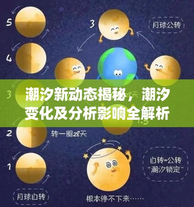 潮汐新动态揭秘,潮汐变化及分析影响全解析
