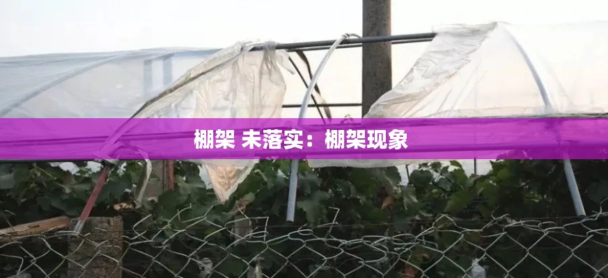 棚架 未落实:棚架现象