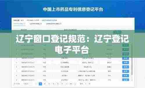 辽宁窗口登记规范：辽宁登记电子平台 