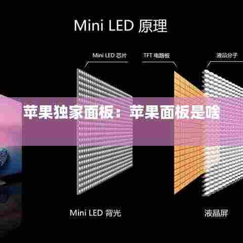 苹果独家面板:苹果面板是啥