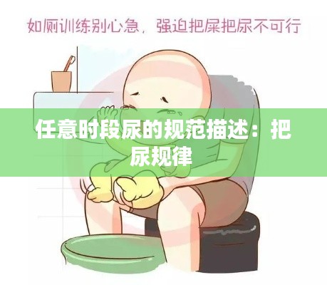 任意时段尿的规范描述:把尿规律