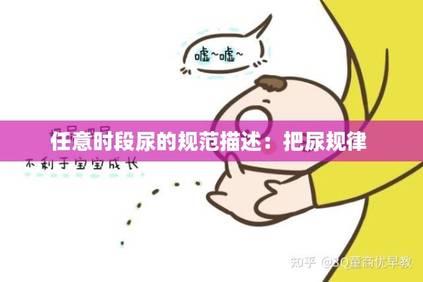 任意时段尿的规范描述:把尿规律