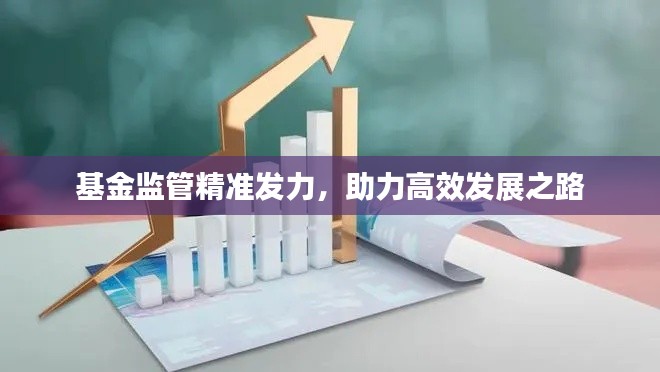 基金监管精准发力，助力高效发展之路