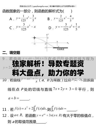 独家解析！导数专题资料大盘点，助力你的学习飞跃！
