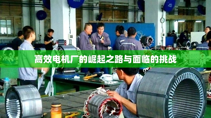 高效电机厂的崛起之路与面临的挑战