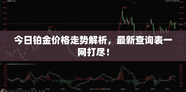 今日铂金价格走势解析,最新查询表一网打尽!