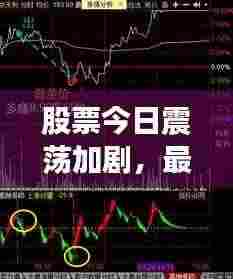 股票今日震荡加剧,最新市场动态及市场反应深度解析