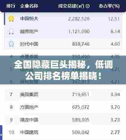 全国隐藏巨头揭秘,低调公司排名榜单揭晓!