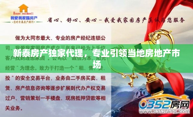 新泰房产独家代理，专业引领当地房地产市场
