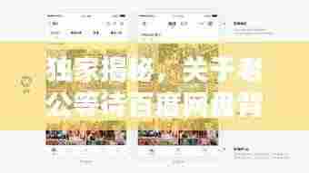 独家揭秘,关于老公等待百度网盘背后的故事!