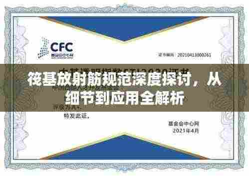 筏基放射筋规范深度探讨,从细节到应用全解析