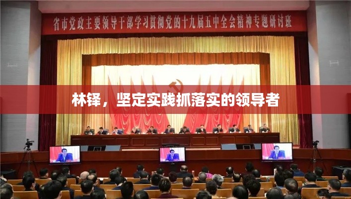 林铎，坚定实践抓落实的领导者