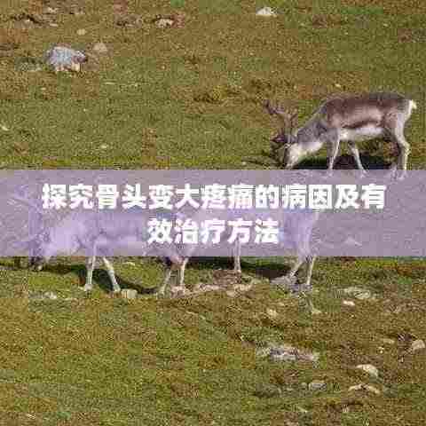 探究骨头变大疼痛的病因及有效治疗方法