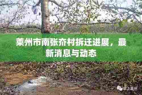 莱州市南张夼村拆迁进展,最新消息与动态