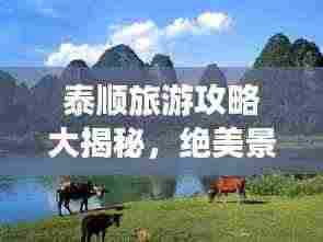 泰顺旅游攻略大揭秘,绝美景点、必游体验一网打尽!