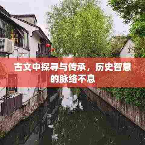 古文中探寻与传承,历史智慧的脉络不息