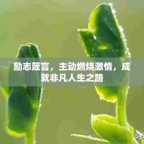 刚毅木讷 第3页