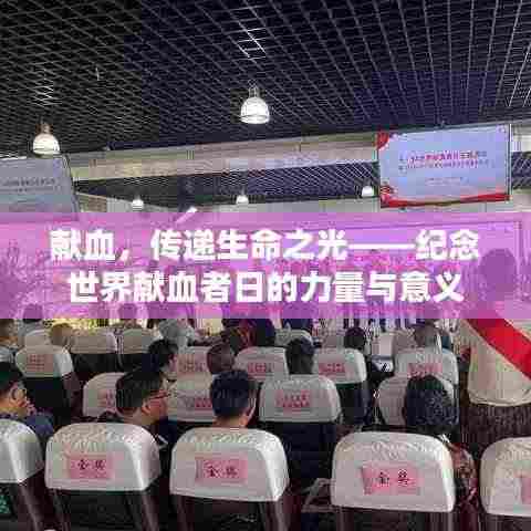 献血,传递生命之光——纪念世界献血者日的力量与意义