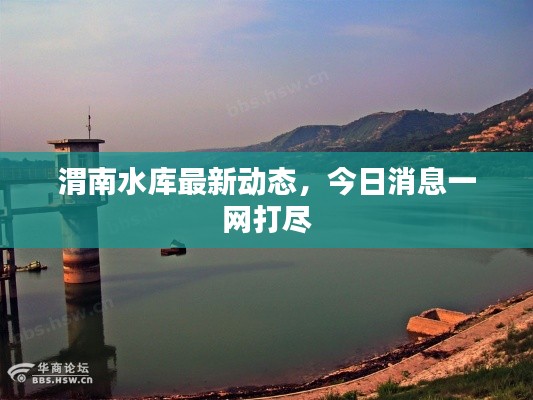 渭南水库最新动态,今日消息一网打尽