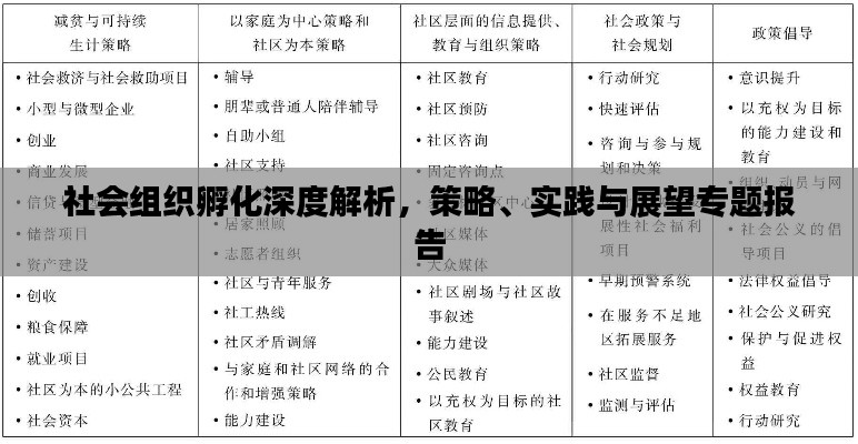 社会组织孵化深度解析，策略、实践与展望专题报告
