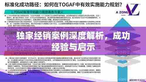 独家经销案例深度解析，成功经验与启示