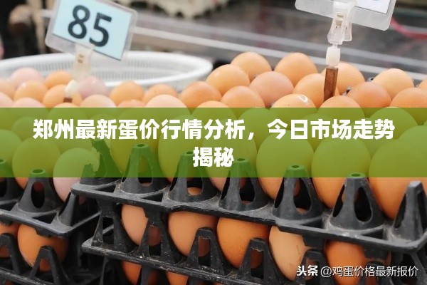 郑州最新蛋价行情分析，今日市场走势揭秘