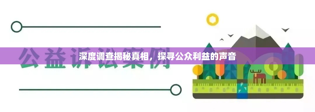 深度调查揭秘真相,探寻公众利益的声音