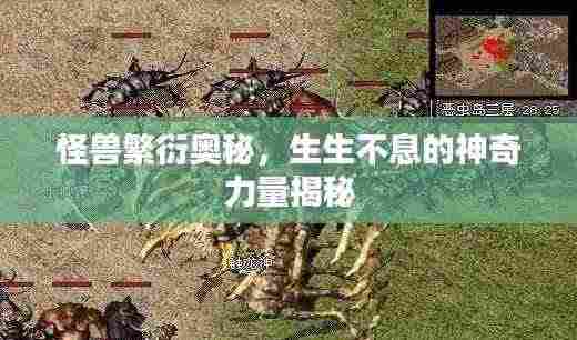 怪兽繁衍奥秘,生生不息的神奇力量揭秘