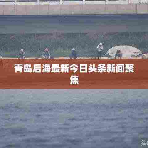 青岛后海最新今日头条新闻聚焦