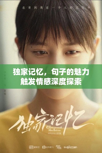 独家记忆,句子的魅力触发情感深度探索