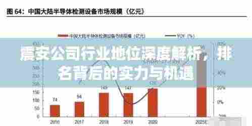 震安公司行业地位深度解析,排名背后的实力与机遇