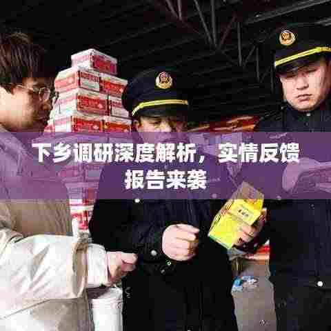 下乡调研深度解析，实情反馈报告来袭