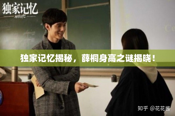独家记忆揭秘,薛桐身高之谜揭晓!