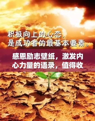感恩励志壁纸,激发内心力量的语录,值得收藏的励志素材